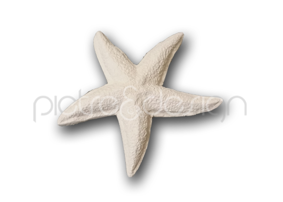stella marina in polvere di pietra leccese